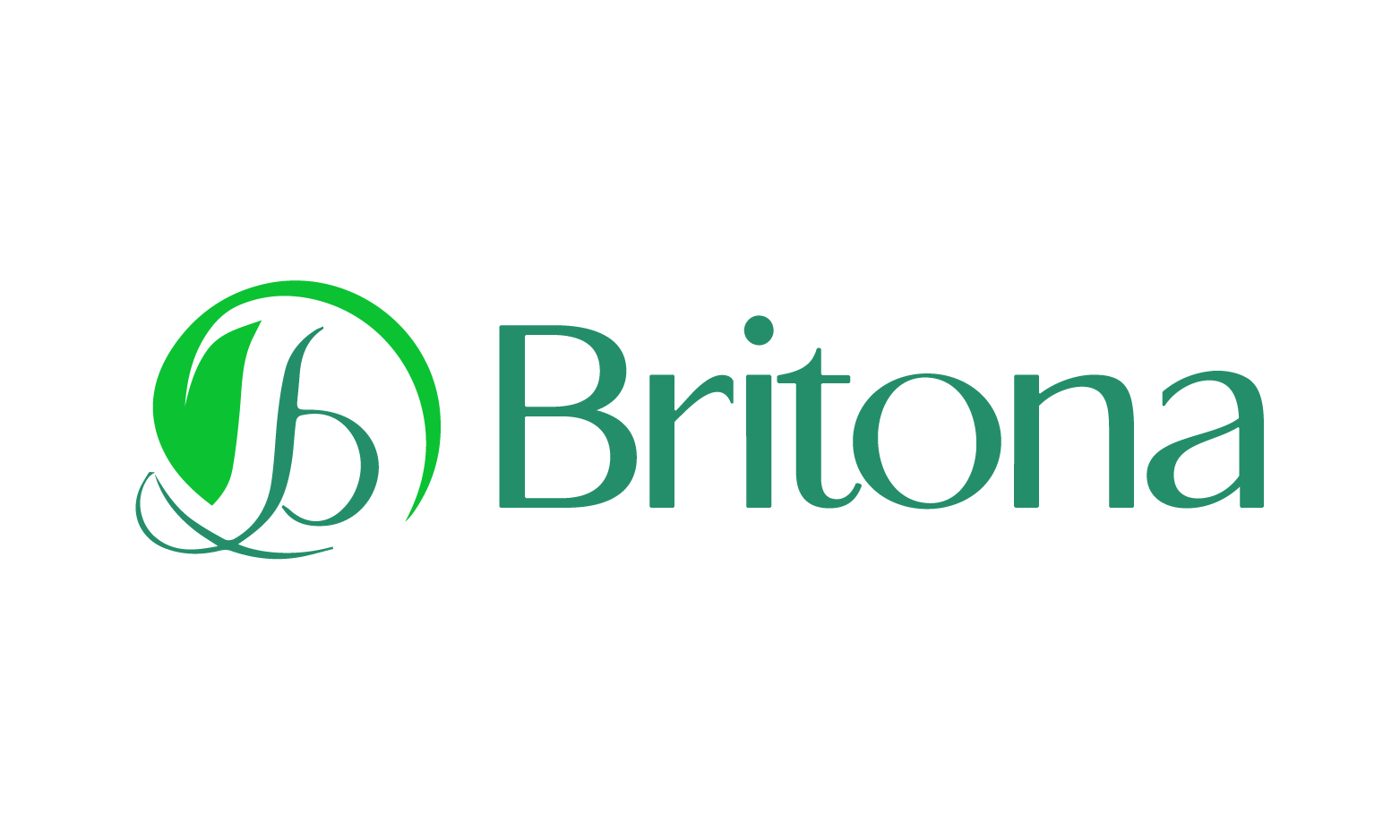 Available Business Name For Sale - Britona